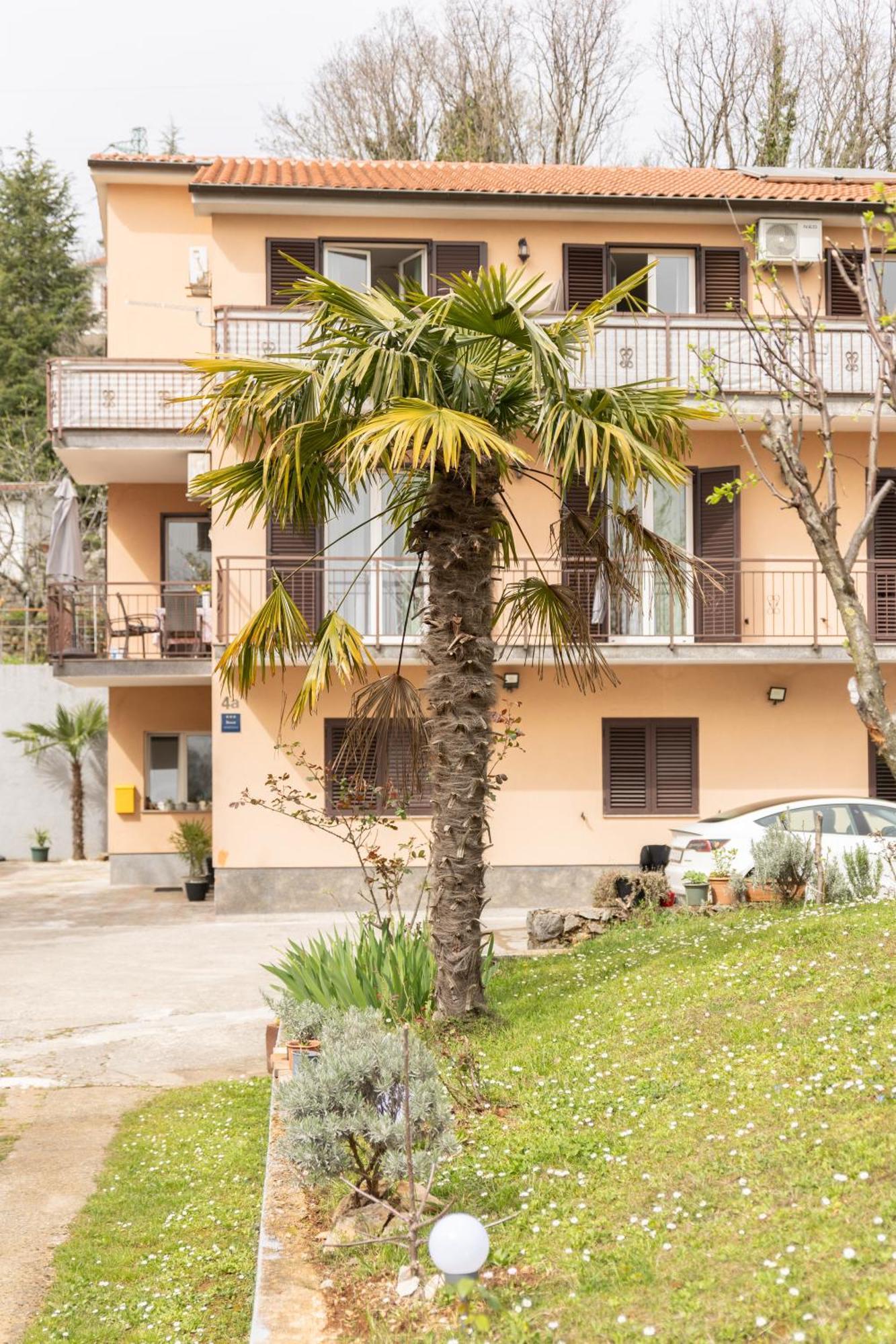 Apartment Beli